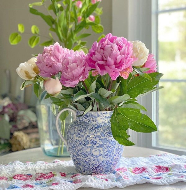 пионы хюгге