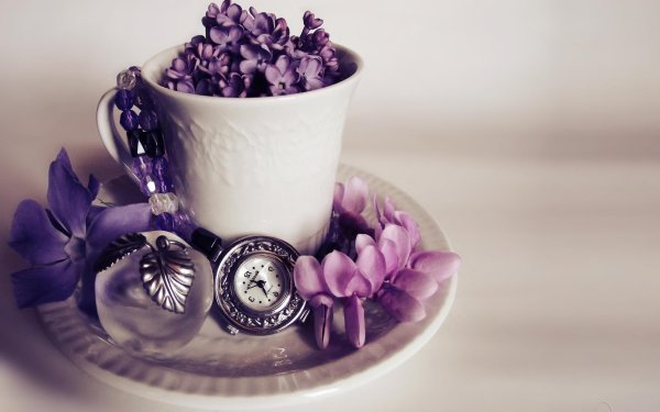 фиолетовое утро