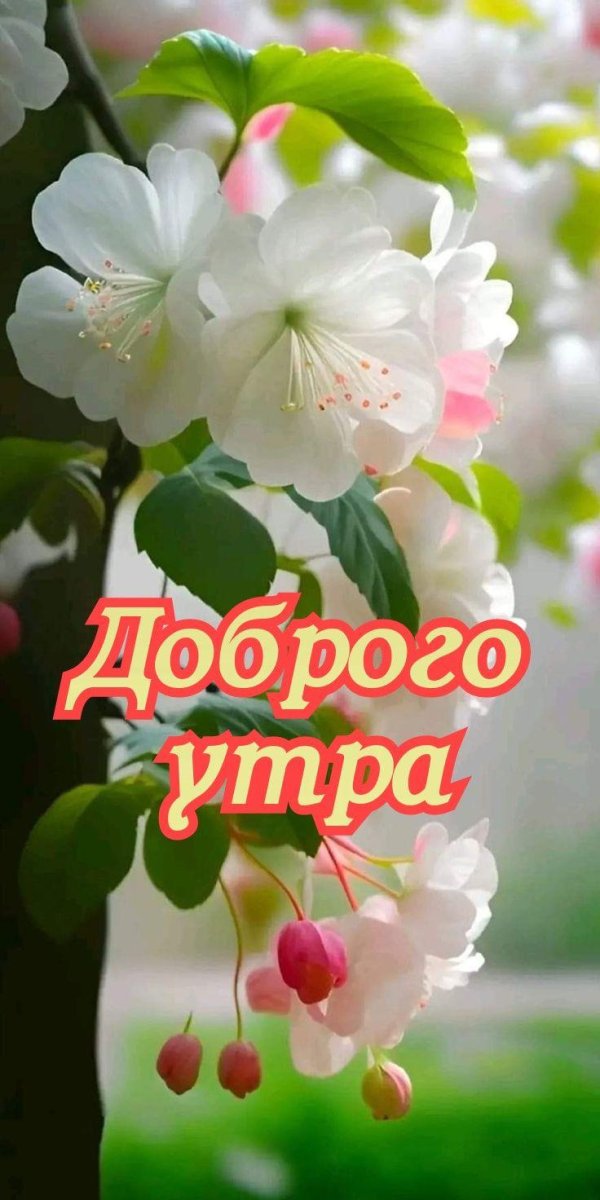 доброго весеннего утра любимому