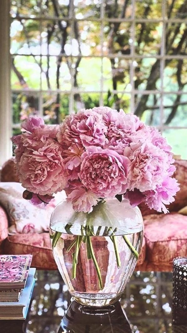 розовые пионы