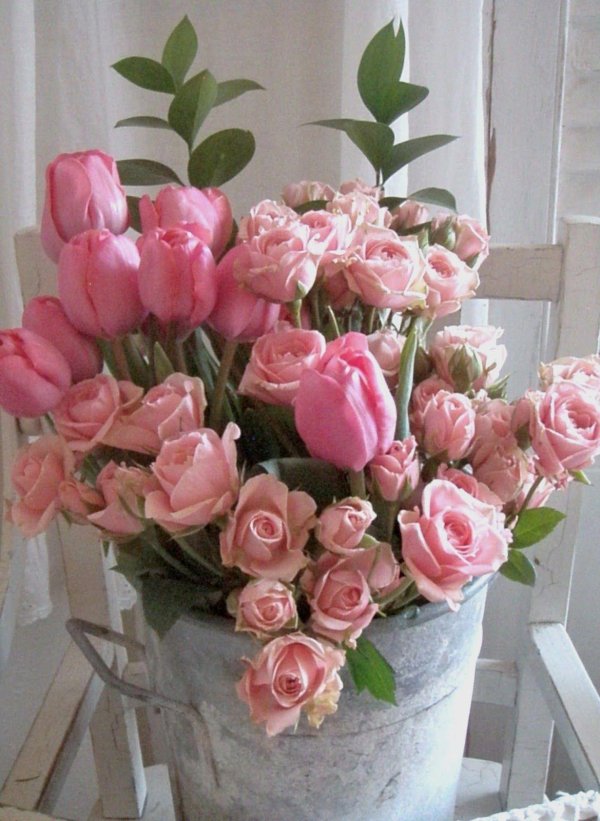 розовые цветы