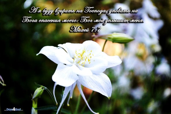 христианские пожелания