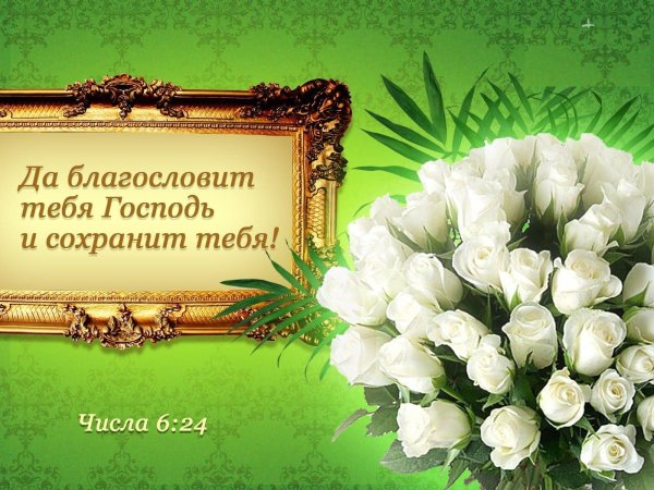 пусть господь благословит тебя