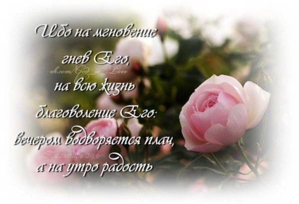 божиих благословений