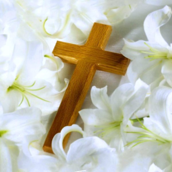 белые лилии