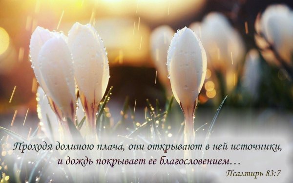 весеннее солнце