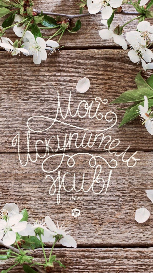 spring каллиграфия