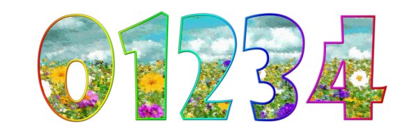 цветочные цифры