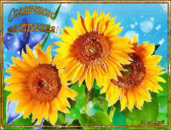 солнечного настроения