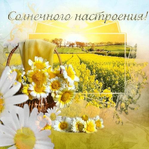 солнечноно настроение