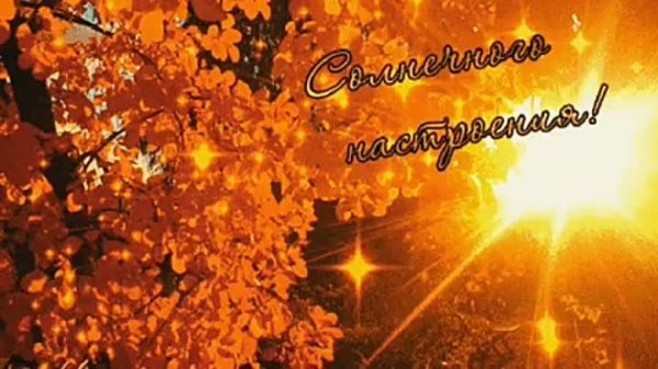 солнечного осенегодня
