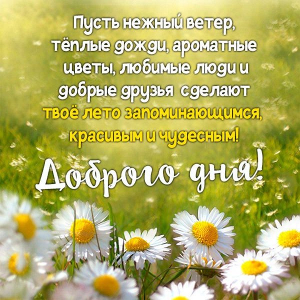 открытка доброе утро лето