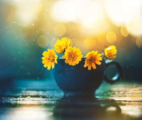 ашрафул арефин