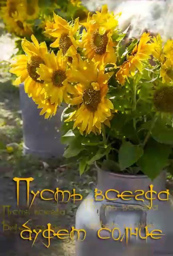 доброе утро иосдолнузи