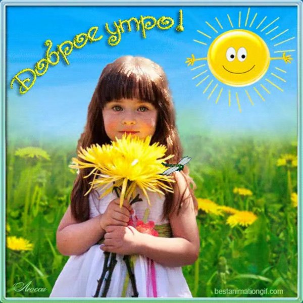 открытка солнышко