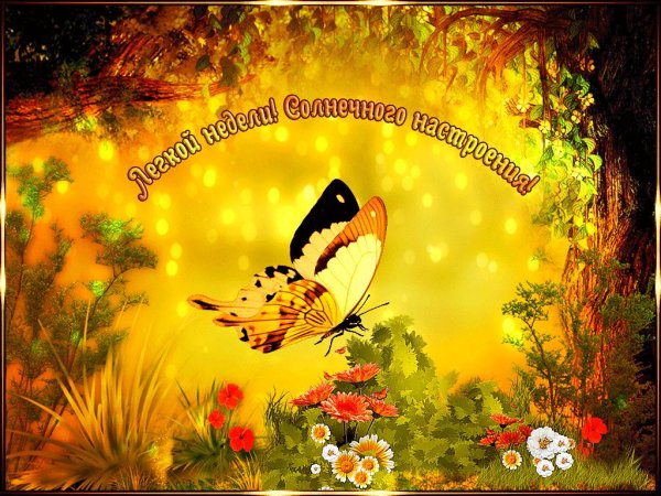 солнечного дня открытки