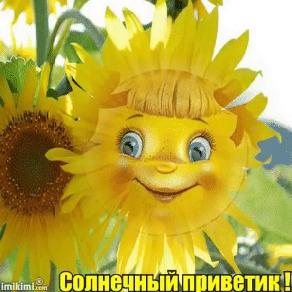 солнечный приветик