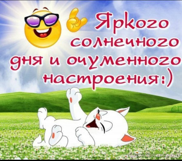 солнечного настроения на весь день