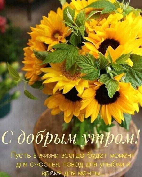 с добрым утром август