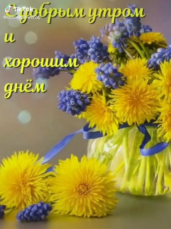 доброго соонечного утро