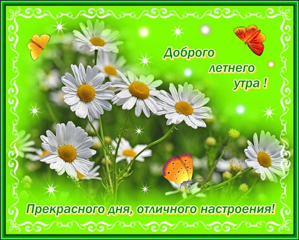 доброго летнего дня и прекрасного настроения