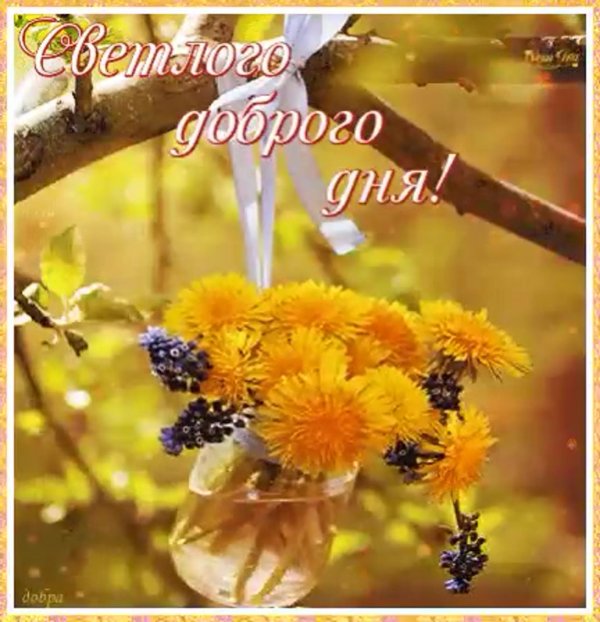 солнечного весеннего дня