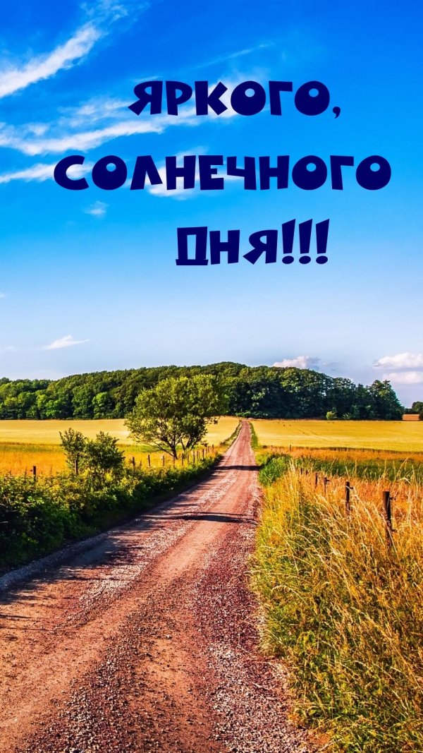 летний пейзаж