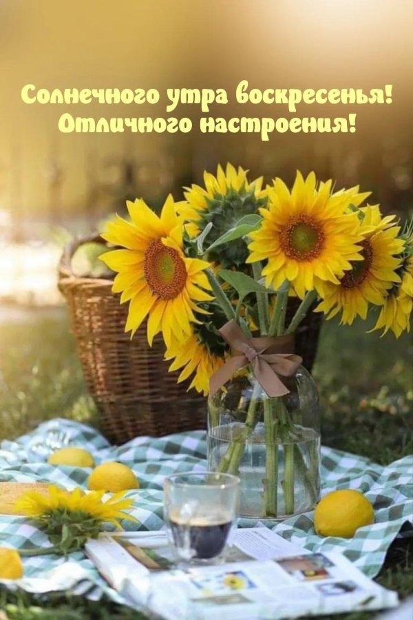 солнечного воскресенья