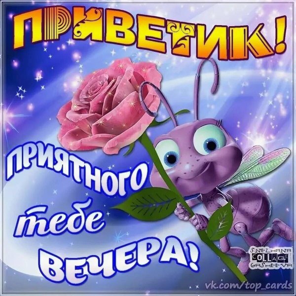 добр вечер