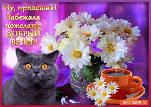 с добрым вечером открытки