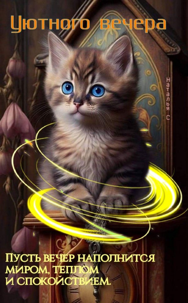 хорошего вечера котики