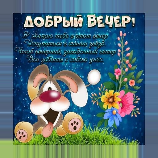 поздравление с добрым вечером
