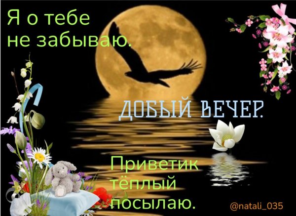 спокой мирной ночи