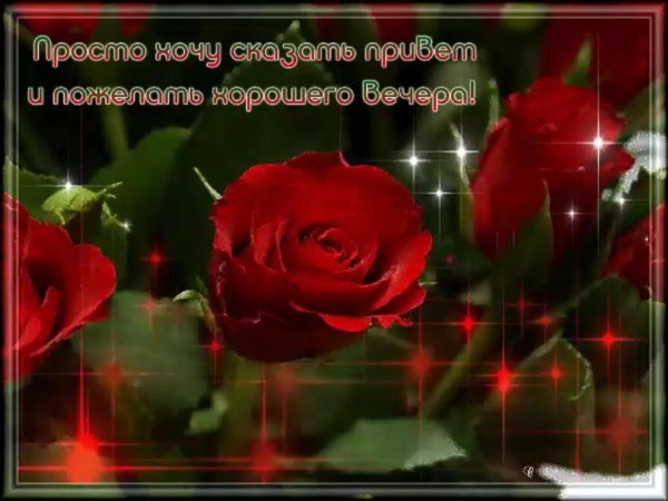 красивое поздравление с добрым вечером