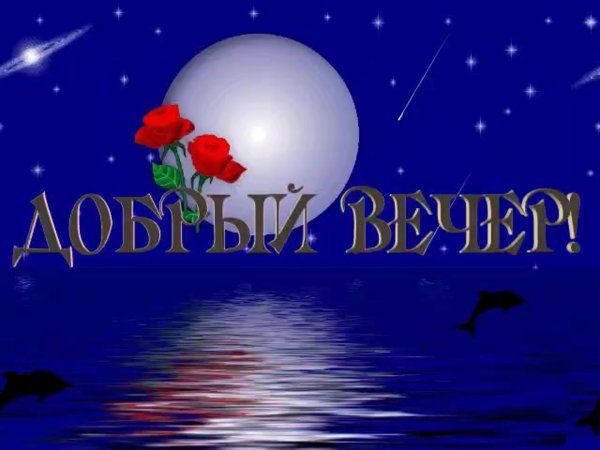 добр вечер
