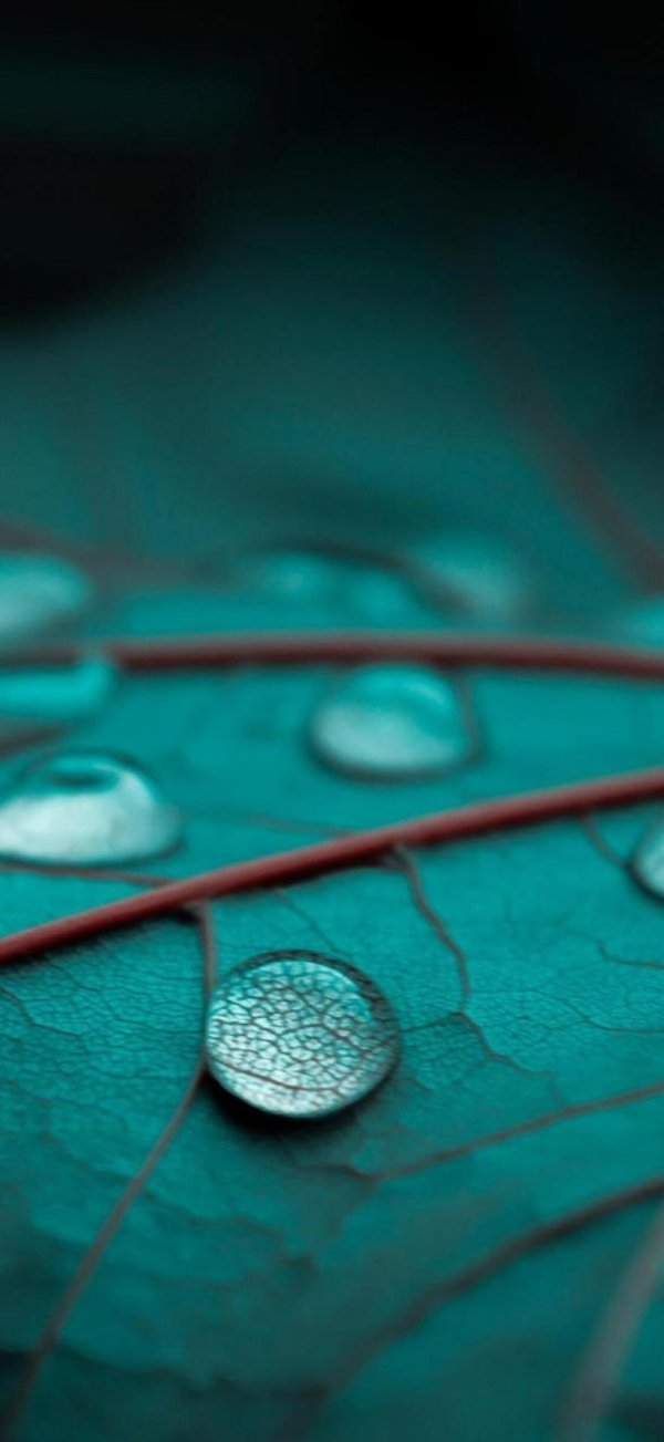 бирюза в природе