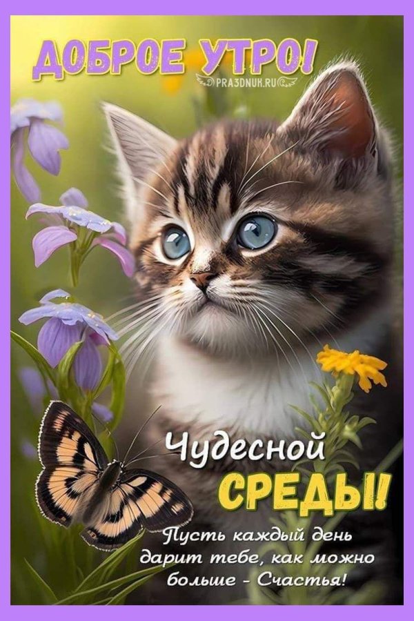 чудесной среды