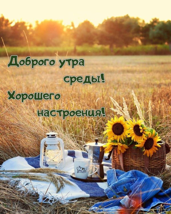 доброе утро в среду