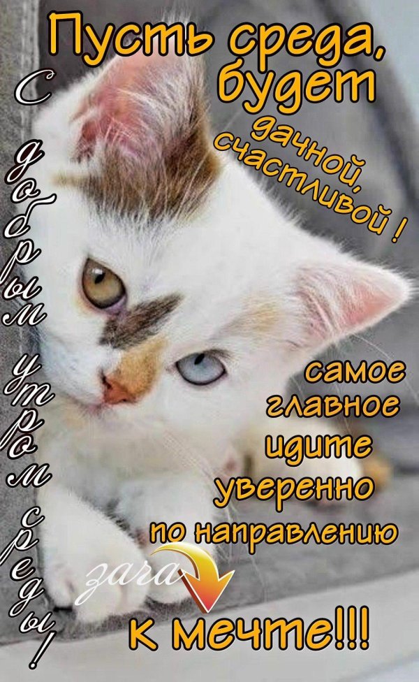 среда открытка