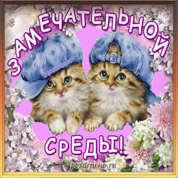 прекрасной среды