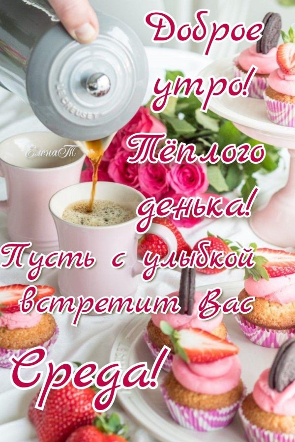 замечательной среды