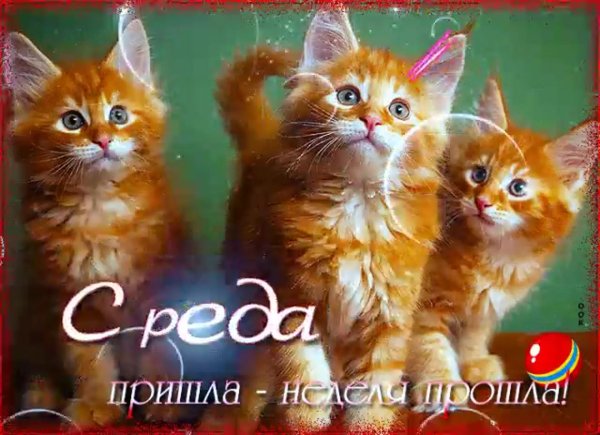 прекрасной среды