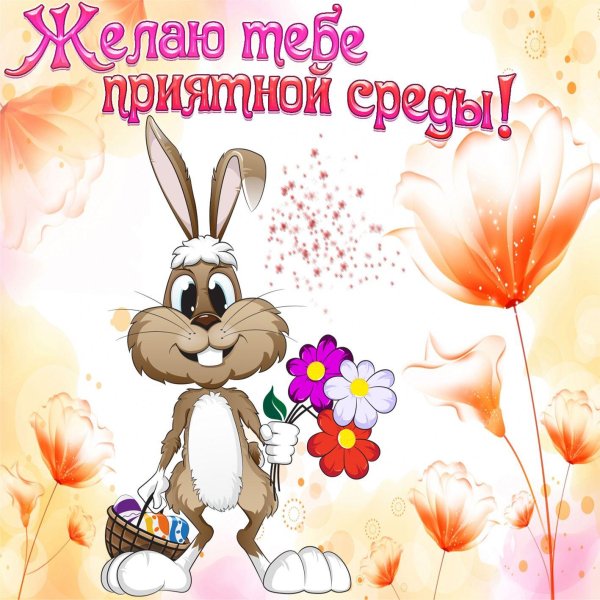 пожелание хорошей среды