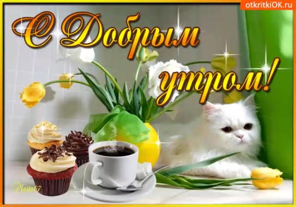 доброе утро