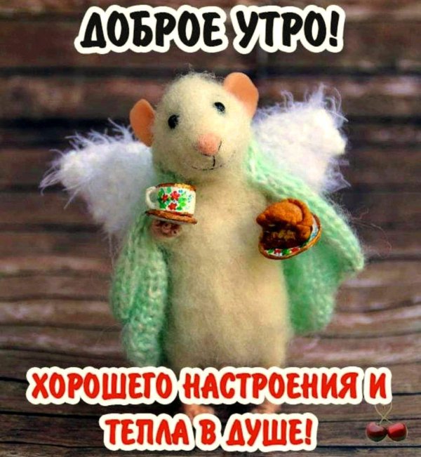 с добрым утром валяные игрушки