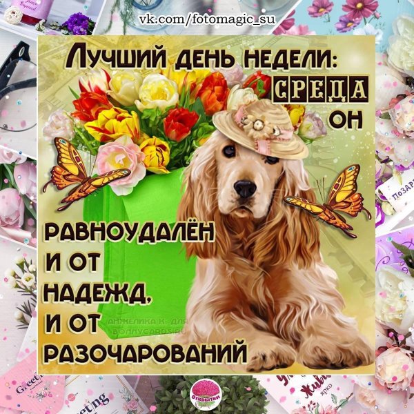 открытка удачной недели