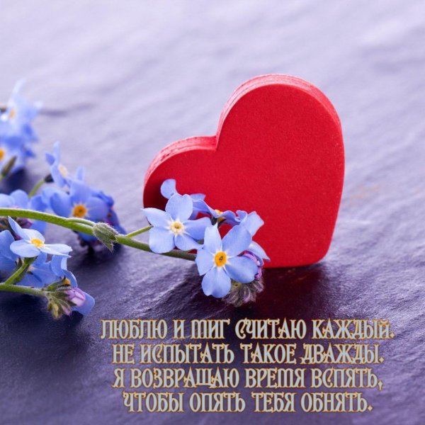 сердце из незабудок