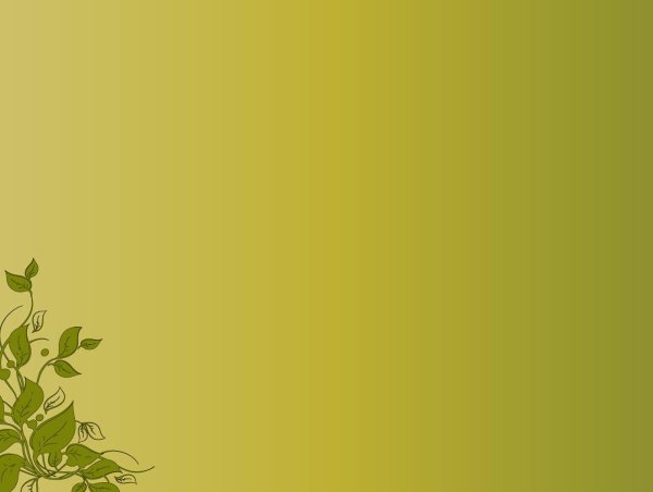 зеленые фоны для презентаций