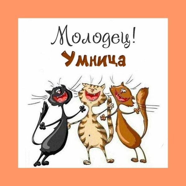 поющие коты