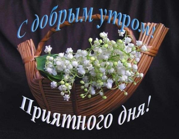 ландыш букет